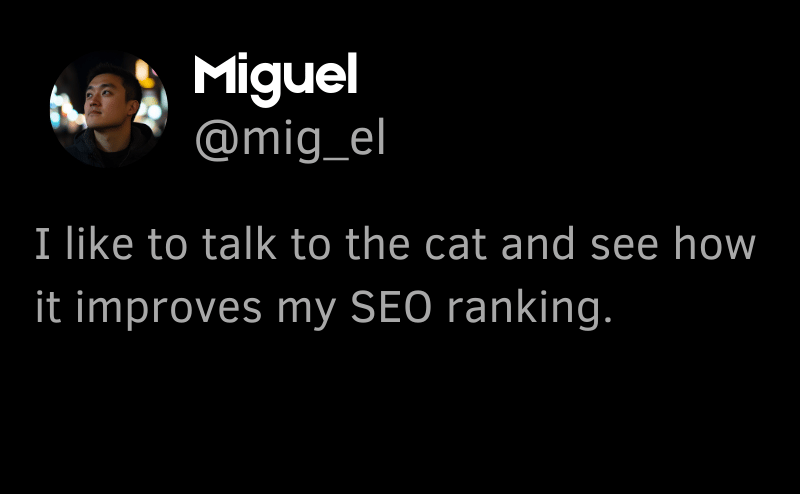 Review Miguel